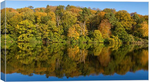 Autumn Reflections Canvas Print by James Meacock