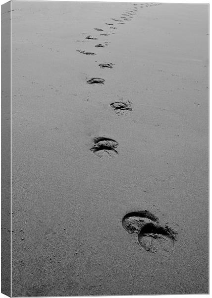 Hoofs in the sand Canvas Print by carolann walker