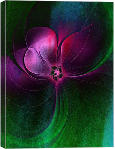 Passion Flower Canvas Print by Amanda Moore
