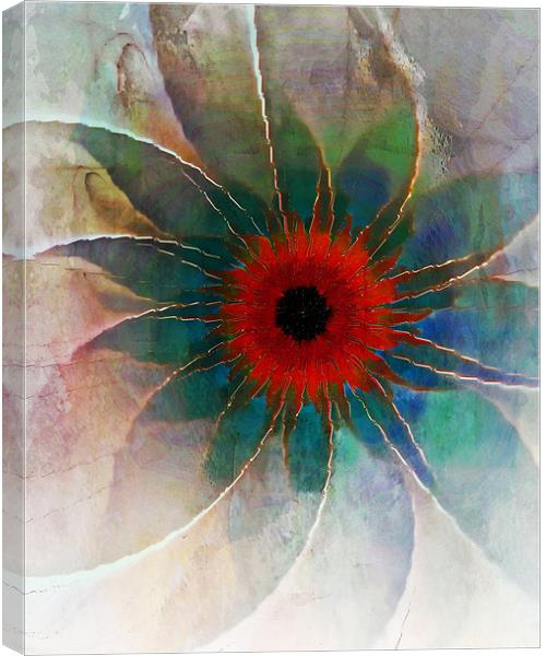In Glass Canvas Print by Amanda Moore