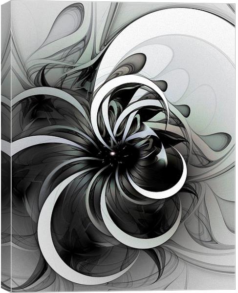 Swirl Canvas Print by Amanda Moore