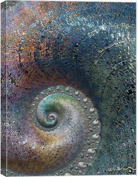  Spiral Fossil Canvas Print by Amanda Moore