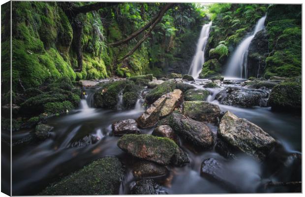 Venford Brook Falls Canvas Print by Mike French