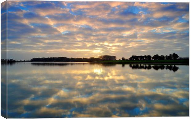 Reflection Canvas Print by Ron Ver