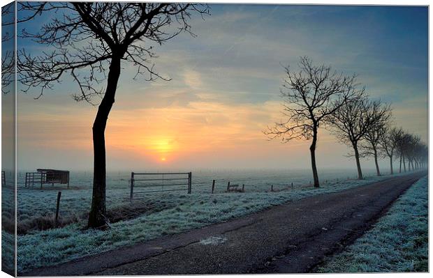 Winter Sunrise Canvas Print by Ron Ver