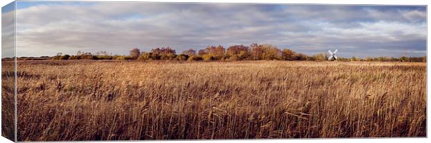 Wicken Sedge Canvas Print by Mike Higginson