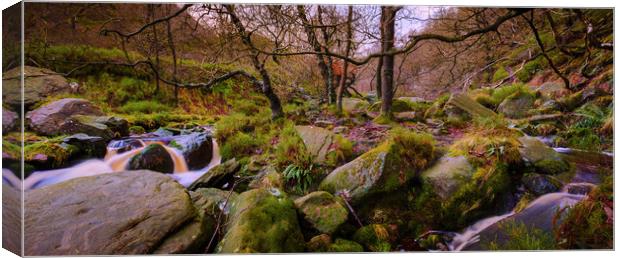 Woodland Stream panoramic Canvas Print by Mike Higginson