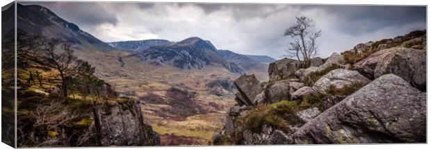 Tree with a view Canvas Print by Mike Higginson