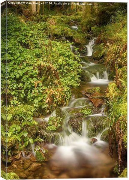 Burgbach Waterfall, Black Forest, Germany 4 Canvas Print by Mark Bangert