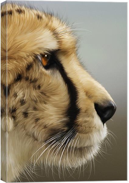 Cheetah Canvas Print by Mike Gorton