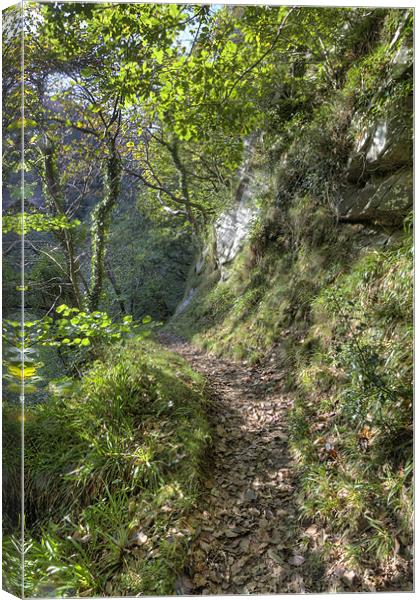 Stunning Autumn Walk to Watersmeet Canvas Print by Mike Gorton