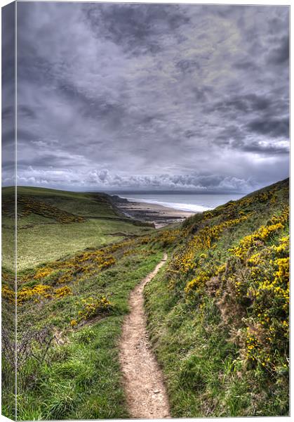On The Coastal Path To Sandymouth Canvas Print by Mike Gorton
