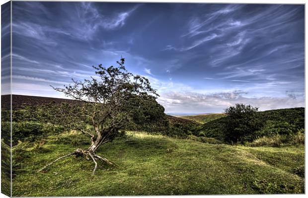On Top of Exmoor Canvas Print by Mike Gorton