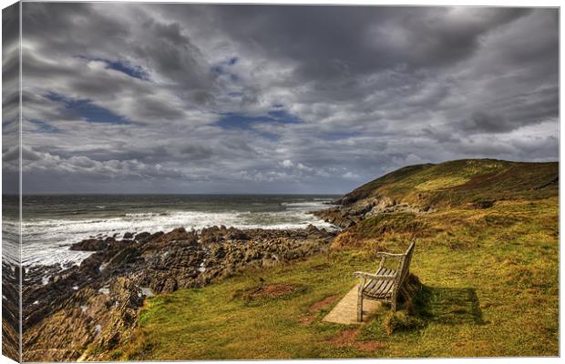 The Bench on Baggy Point Canvas Print by Mike Gorton