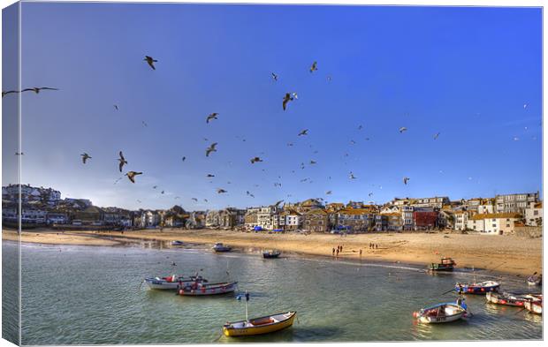 Seagulls Invade St Ives Cornwall Canvas Print by Mike Gorton