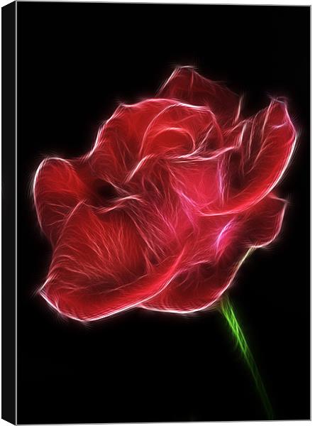 Electric Red Rose Canvas Print by Mike Gorton