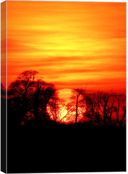 Burning Devon Sunset Canvas Print by Mike Gorton