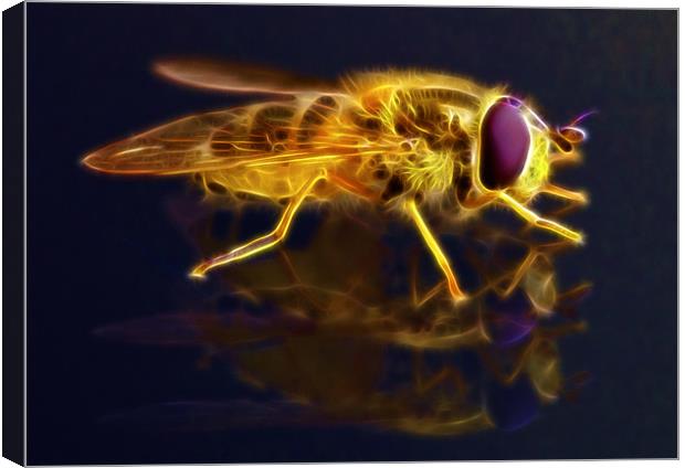 Electric Bee Canvas Print by Mike Gorton