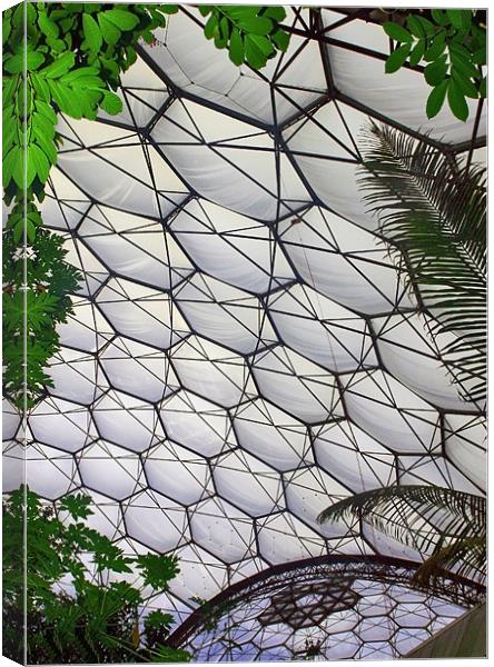 Eden Project Cornwall Canvas Print by Mike Gorton