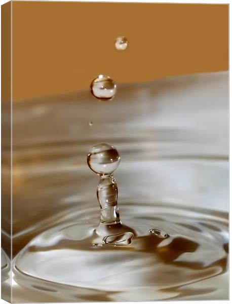 Water Droplet Macro Canvas Print by Mike Gorton