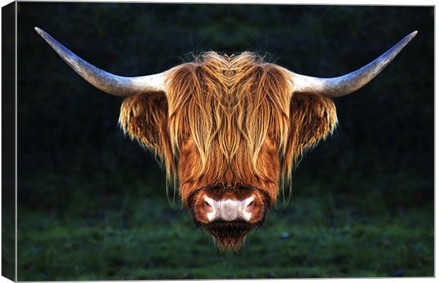 Long Horn Cow abstract Canvas Print by Mike Gorton