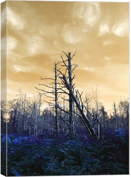 Death of The trees Canvas Print by Mike Gorton