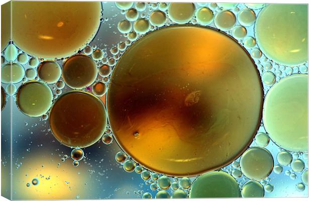 Oil Droplets Canvas Print by Mike Gorton