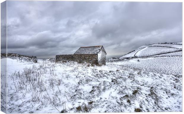 Winter on Exmoor Canvas Print by Mike Gorton