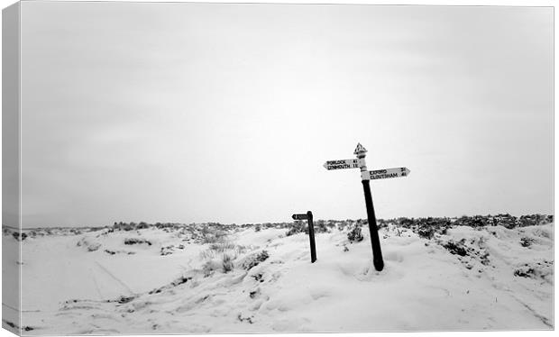 Sign posts in the Snow Canvas Print by Mike Gorton