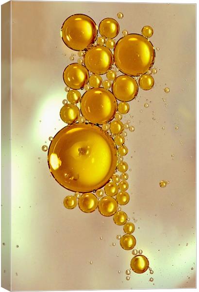 Oil Droplets Canvas Print by Mike Gorton
