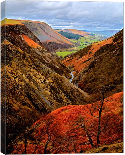 Welsh Valley Colours of Autumn Canvas Print by Mike Gorton