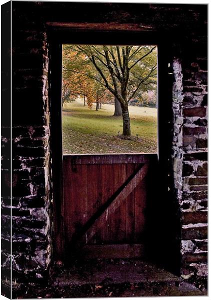Autumn viewed from an open window Canvas Print by Mike Gorton