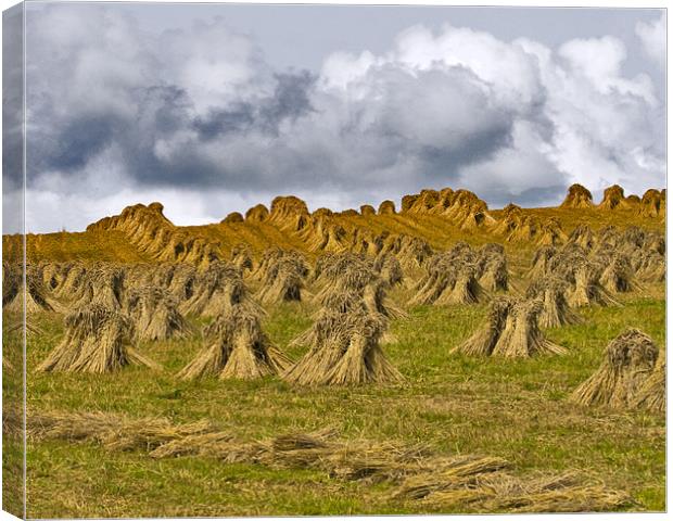 Sheaves of Straw Canvas Print by Mike Gorton
