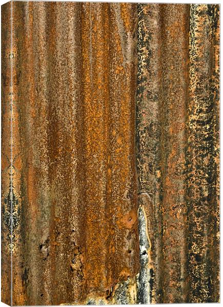 The Colour of Rust Canvas Print by Mike Gorton