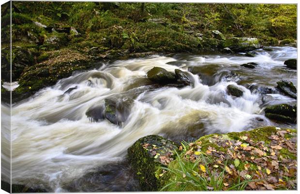 Fast Flowing Autumn River Canvas Print by Mike Gorton