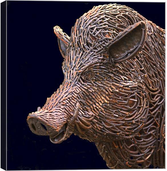 Rusty Boar Head Sculpture Canvas Print by Mike Gorton