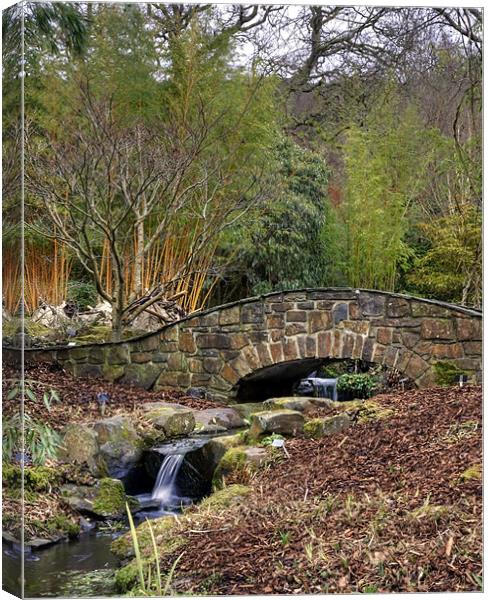Bridge and The Stream Canvas Print by Mike Gorton