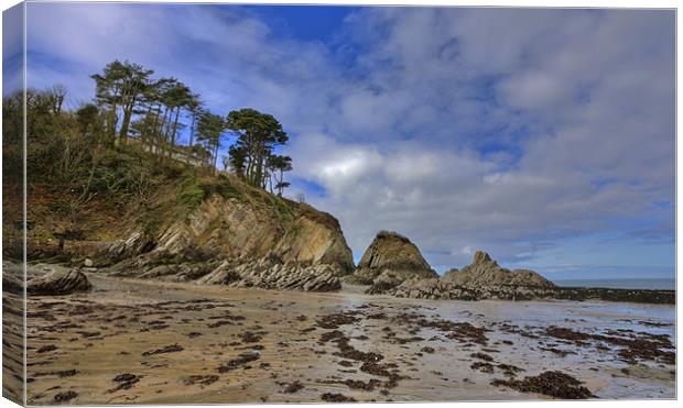 Lee Bay Canvas Print by Mike Gorton