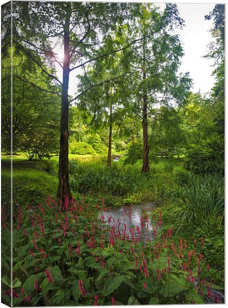 Marwood Garden Canvas Print by Mike Gorton