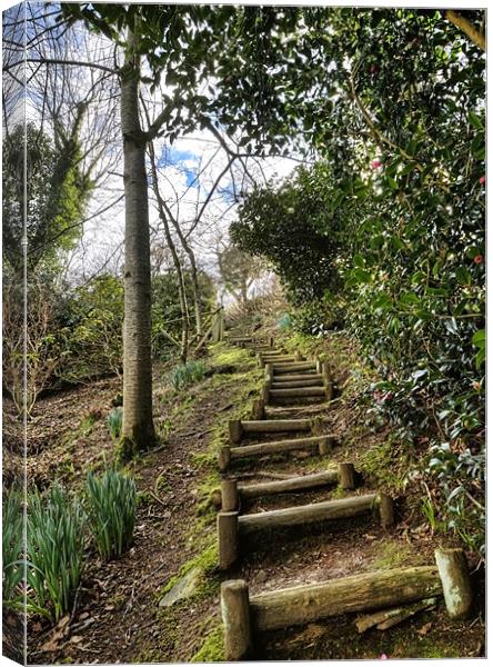 Crooked Steps Canvas Print by Mike Gorton