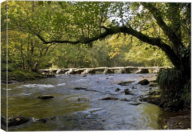 Tarr Steps in Somerset Canvas Print by Mike Gorton