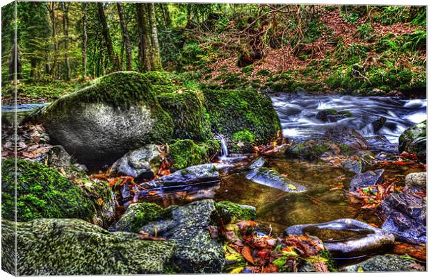 Rocky Waters Watersmeet Canvas Print by Mike Gorton