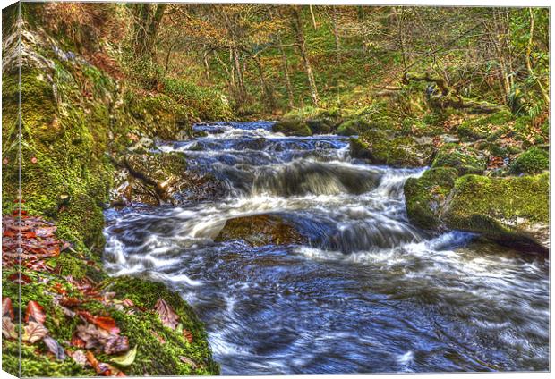 Through The Woods Waterfall Canvas Print by Mike Gorton