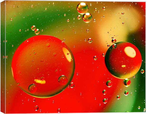 Vivid Oil Droplets Canvas Print by Mike Gorton
