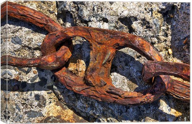 Rusty old Chain Canvas Print by Mike Gorton
