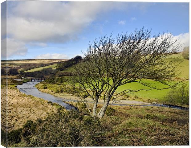 Tree with a view over Landacre Bridge Canvas Print by Mike Gorton