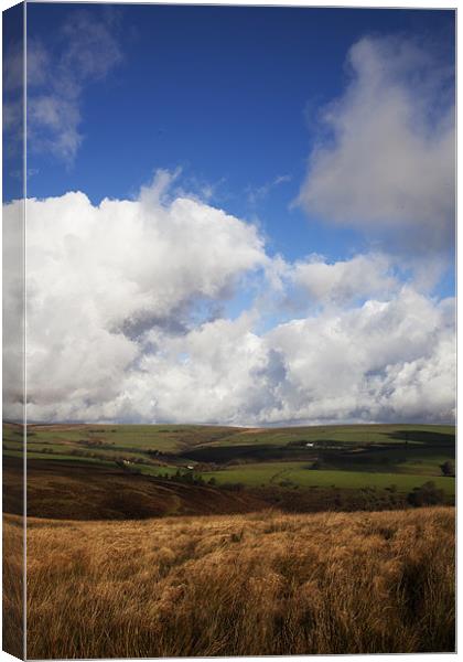 Bright Autumn Day on Exmoor Canvas Print by Mike Gorton