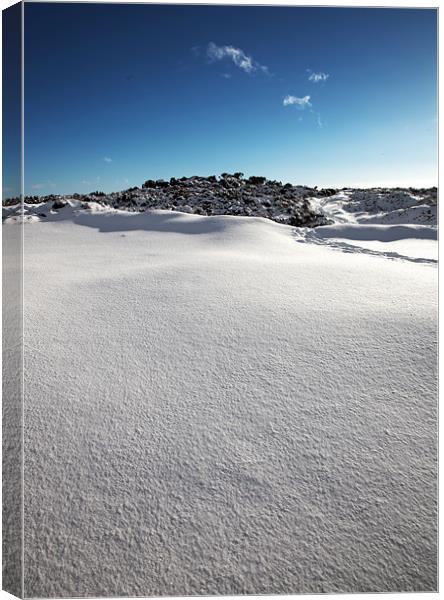 Snow Covered Exmoor Canvas Print by Mike Gorton
