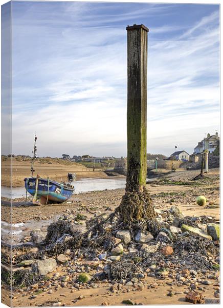 Bude Harbour Low Tide Canvas Print by Mike Gorton