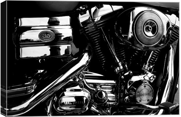  Polished Performance  Canvas Print by Tim Bell